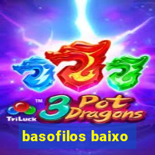 basofilos baixo